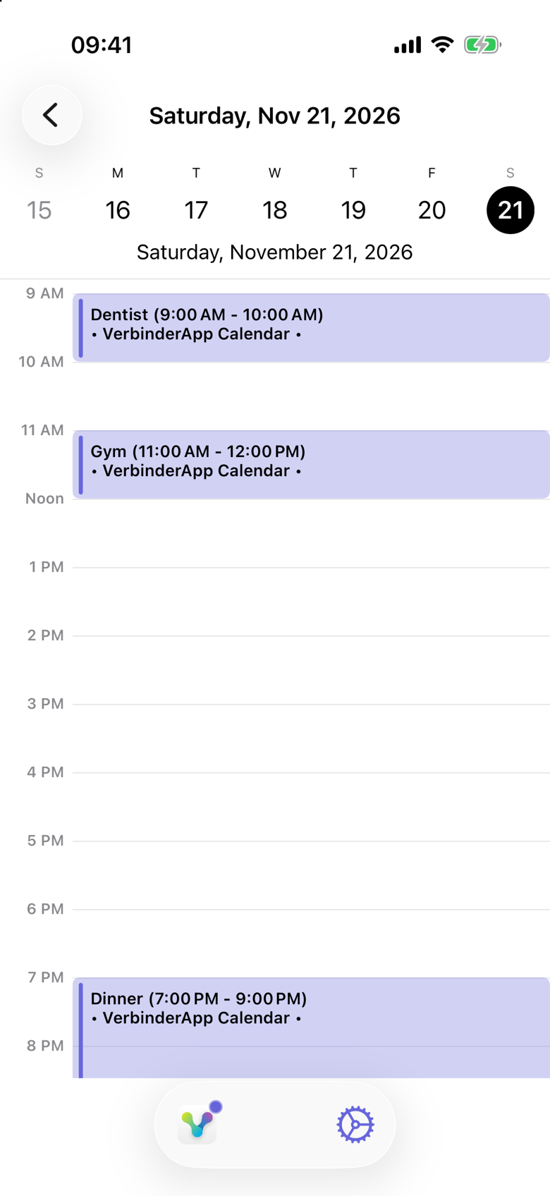 Saturday, Nov 21, 2026 in the day view. Dentist runs from 9:00 AM to 10:00 AM, Gym from 11:00 AM to 12:00 PM, and Dinner from 7:00 PM to 9:00 PM. Each block is labeled VerbinderApp Calendar and uses the same color.